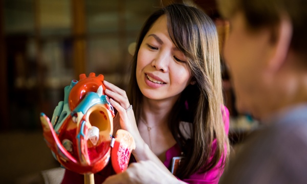 Examining a model of a heart at the Blum center Examining a model of a heart at the Blum center