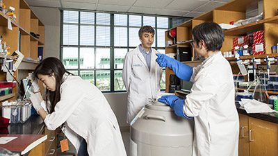 Discover Our Strengths Learn more about the Center for Cancer Research