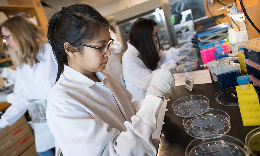 Researchers in Shannon Stott, PhD's lab at the Krantz Family Center for Cancer Research. Researchers in Shannon Stott, PhD's lab at the Krantz Family Center for Cancer Research.