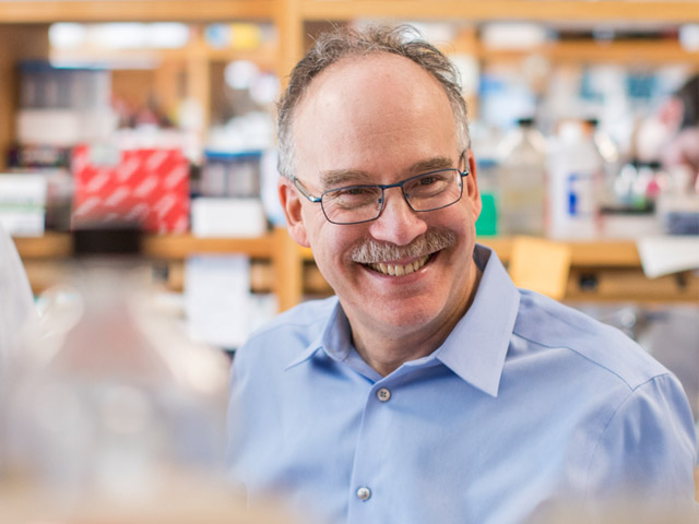 Daniel Haber, MD, PhD