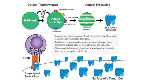 cobbald research image cobbald research image