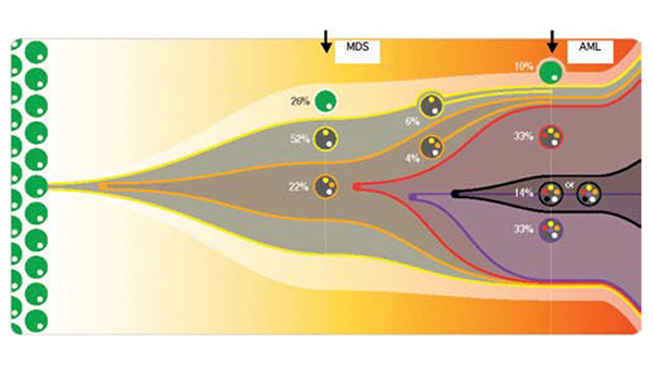 Graubert Research Image Graubert Research Image