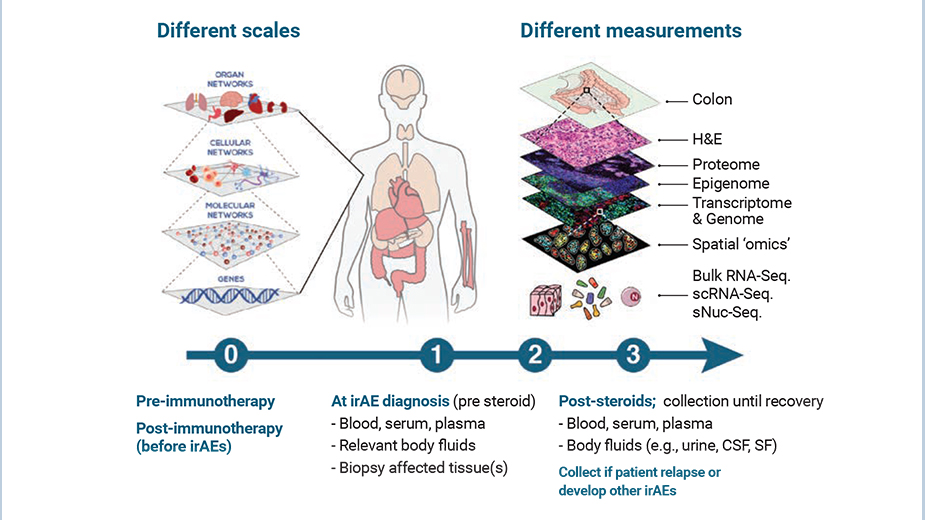 Villani Research Image Villani Research Image
