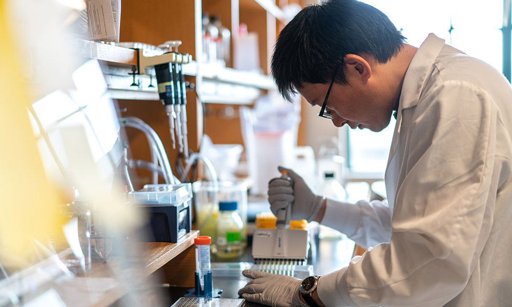 Researcher at the Krantz Family Center for Cancer Research. Researcher at the Krantz Family Center for Cancer Research.