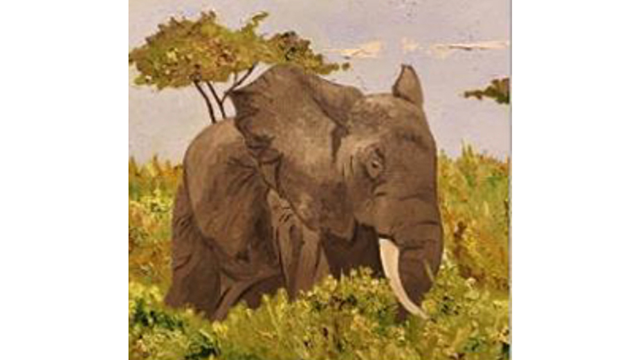 Sidhartha Pani, MD, Africa Series: Elephant, Oil on Canvas, 24”x24” Sidhartha Pani, MD, Africa Series: Elephant, Oil on Canvas, 24”x24”