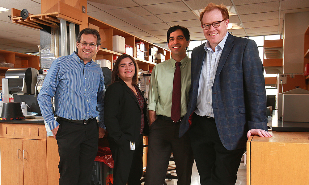 The Center for Cancer Immunology core faculty (l-r): Nir Hacohen, PhD; Marcela Maus, MD, PhD; Shawn Demehri, MD, PhD; Mark Cobbold, MD, PhD. The Center for Cancer Immunology core faculty (l-r): Nir Hacohen, PhD; Marcela Maus, MD, PhD; Shawn Demehri, MD, PhD; Mark Cobbold, MD, PhD.