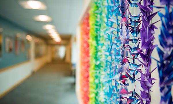 Paper cranes in the Yawkey building at Mass General Cancer Center. Paper cranes in the Yawkey building at Mass General Cancer Center.