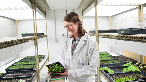 Staff Profiles Staff profiles at Mass General Hospital