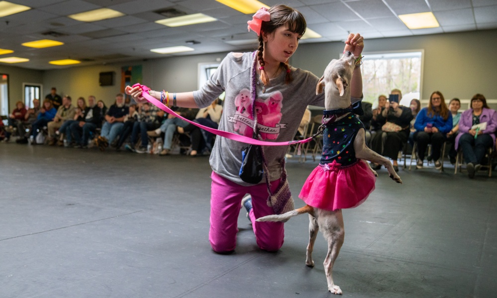 Girl with a small dancing dog Girl with a small dancing dog