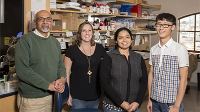 Our Faculty The faculty of the Mucosal Immunology and Biology Research Center (MIBRC) at Massachusetts General Hospital includes experts from a variety of discipl