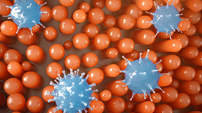 Research Overview An overview of the research topics our teams work on.