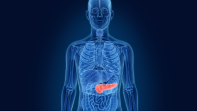 Pancreas
