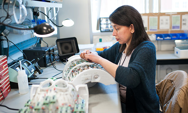 A researcher adjusts a piece of equipment in a laboratory A researcher adjusts a piece of equipment in a laboratory