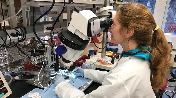 Researcher looking into a microscope Researcher looking into a microscope