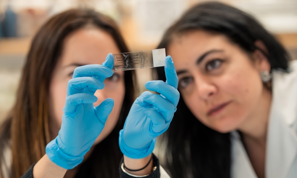 Scientists examine a slide Scientists examine a slide