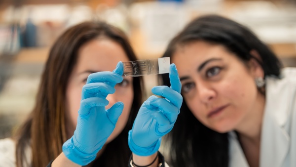 Researchers look at DNA slide Researchers look at DNA slide