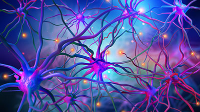 Dr. Rudy Tanzi Talks about SHIELD in a Podcast (Part 1)