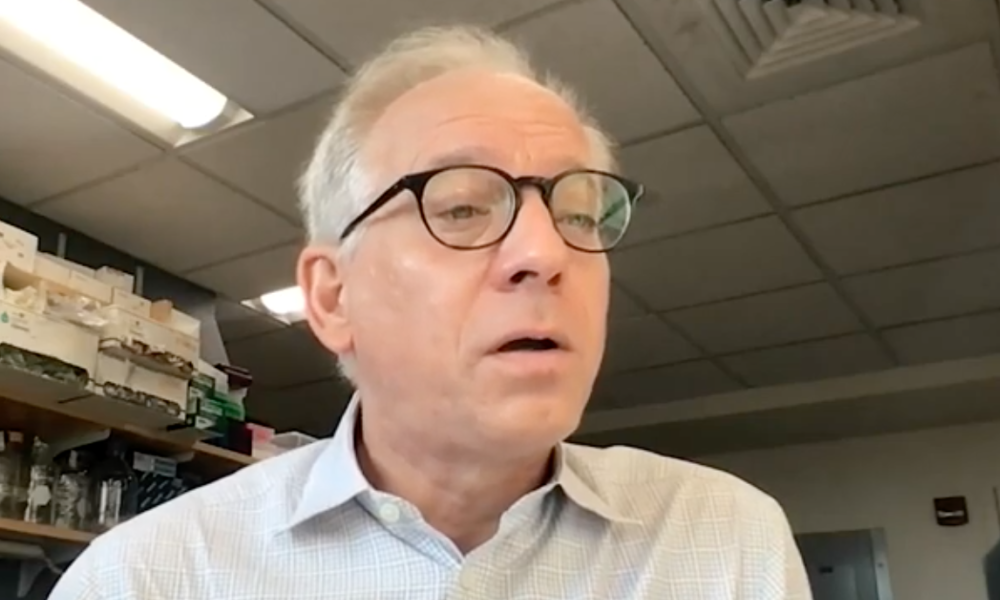 Video thumbnail - Dr. Albers discusses recent research Video thumbnail - Dr. Albers discusses recent research