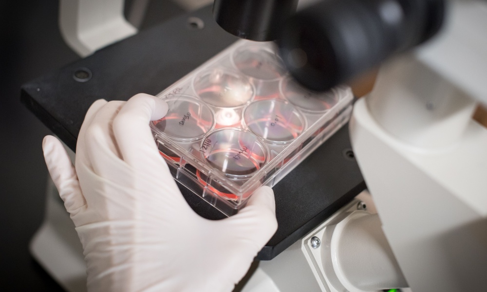 A researcher in white gloves looks through a microscope A researcher in white gloves looks through a microscope