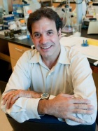 Rudolph Tanzi, PhD