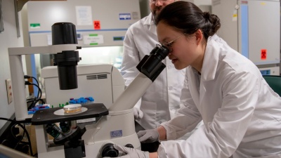 Employment Opportunities