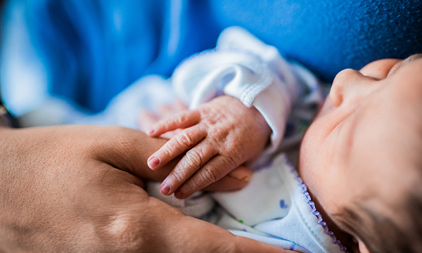 A tiny baby grips its parent's thumb as it sleeps. A tiny baby grips its parent's thumb as it sleeps.