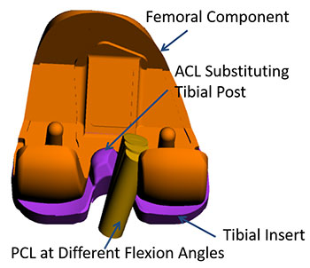 Harris Lab, Transitional Research, Developing Mechanisms to Substitute for Missing ACL in TKA