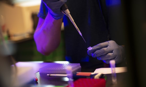 Gloved hands insert a long needle into a test tube. Gloved hands insert a long needle into a test tube.