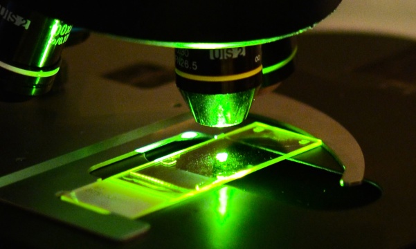 A microscope with a slide illuminated in green A microscope with a slide illuminated in green