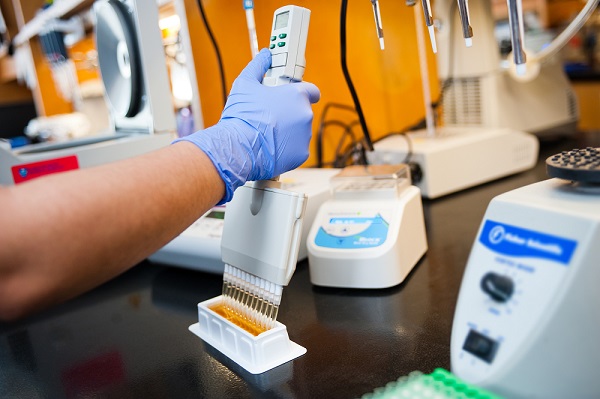 Closeup of gloved researcher using lab equipment Closeup of gloved researcher using lab equipment