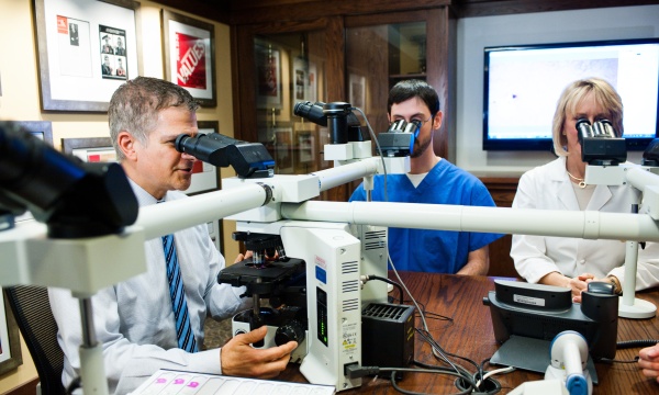 Pathologists looking into microscopes Pathologists looking into microscopes