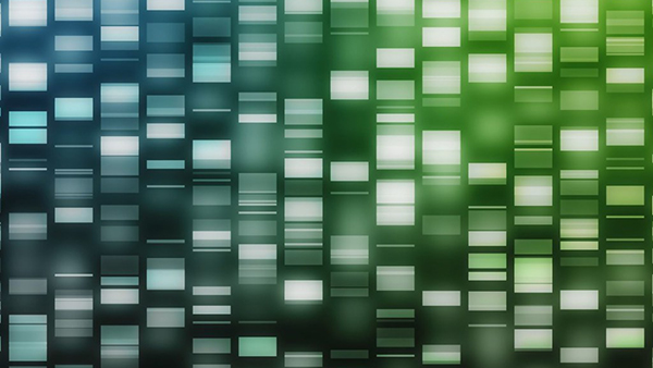 International Collaborative Team Identify First Definitive Tourette Syndrome Risk Genes International Collaborative Team Identify First Definitive Tourette Syndrome Risk Genes