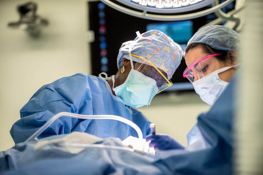 Two providers performing a procedure in an operating room Two providers performing a procedure in an operating room