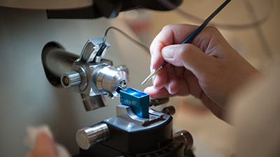 Medicine Innovation Program (MIP)