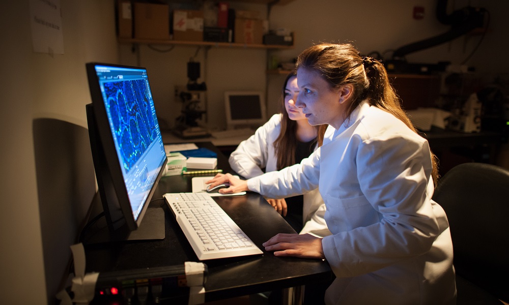 Image of a researcher working in a lab Image of a researcher working in a lab