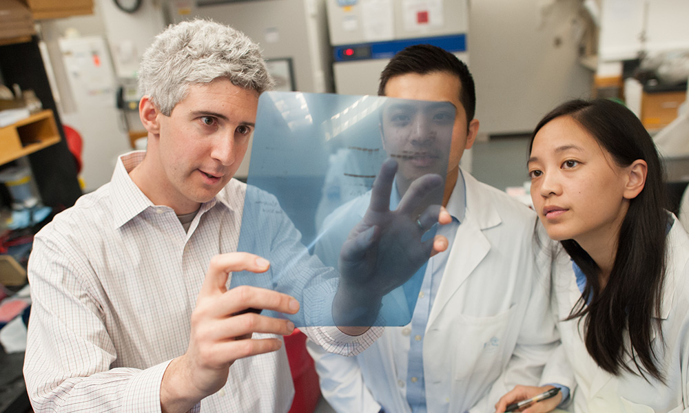Researchers looking at a dna film Researchers looking at a dna film
