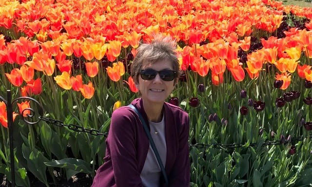 Carol Goodermote sitting in a field of yellow and flame-red tulips. Carol Goodermote sitting in a field of yellow and flame-red tulips.