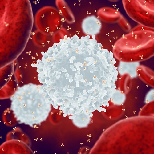 t-cells t-cells